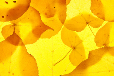 Similar image 6668823