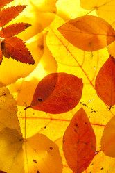 Similar image 6668824