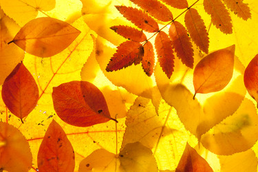 Similar image 6668825