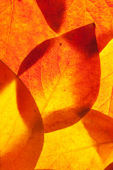 Similar image 6668826