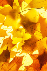 Similar image 6668829