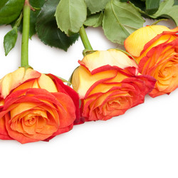 Similar image 6668832