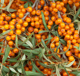 Similar image 6668835