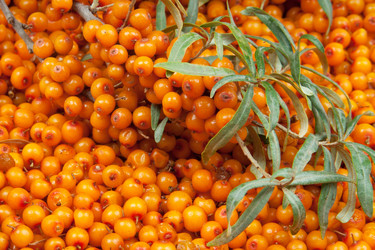 Similar image 6668836