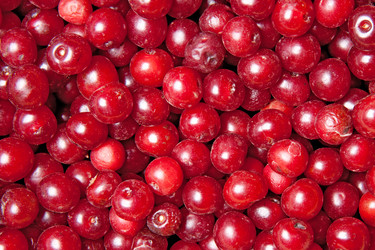 Similar image 6668837