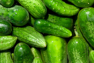 Similar image 6668838