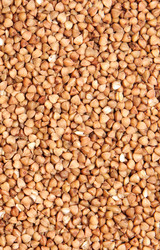 Similar image 6668843