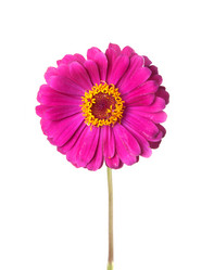 Similar image 6668856