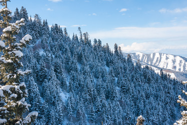 Similar image 6668857