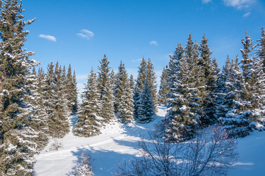 Similar image 6668858