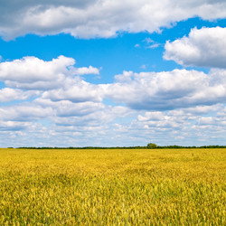 Similar image 6668866