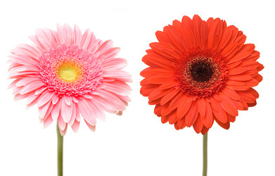 Similar image 6668873