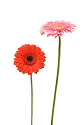 Similar image 6668874