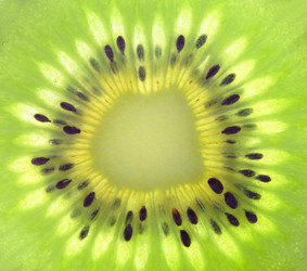 Similar image 6669464