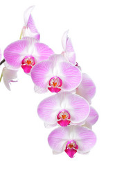 Similar image 6669465