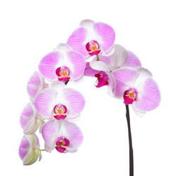 Similar image 6669466