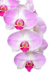 Similar image 6669467