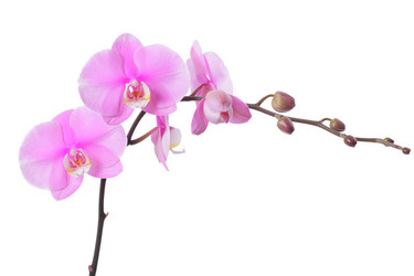 Similar image 6669468