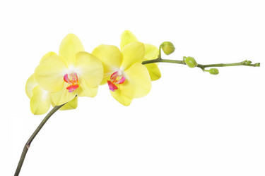 Similar image 6669469