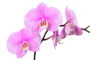 Similar image 6669471