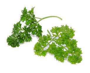 Similar image 6669504