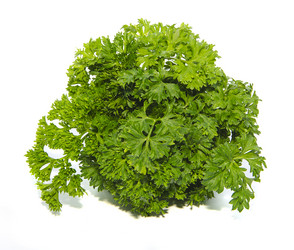 Similar image 6669510