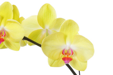 Similar image 6669553