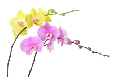 Similar image 6669554