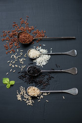 Similar image 6669767