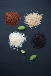 Similar image 6669769