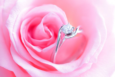 Similar image 6669949