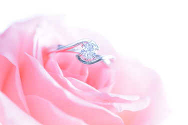 Similar image 6669993