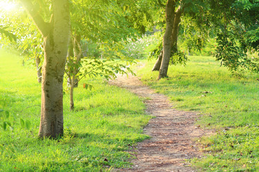 Similar image 6670207