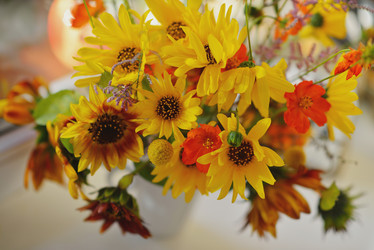 Similar image 6670302