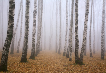 Similar image 6670419