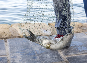 Similar image 6670446