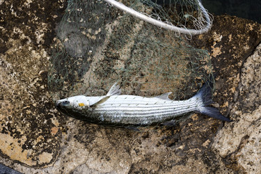 Similar image 6670447