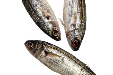 Similar image 6670448