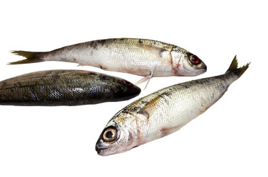 Similar image 6670449