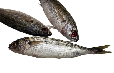 Similar image 6670451