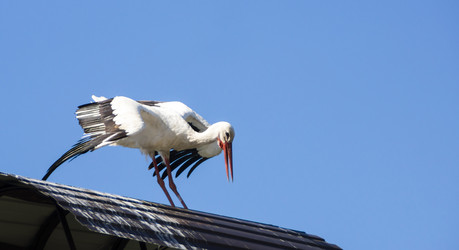 Similar image 6670516