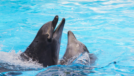 Similar image 6670518