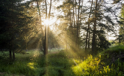 Similar image 6670521