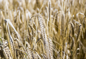 Similar image 6670542