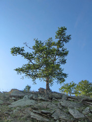 Similar image 6671078