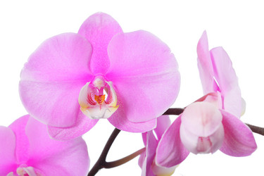 Similar image 6671279