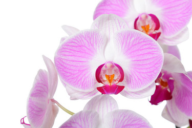 Similar image 6671292