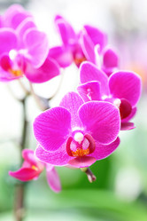 Similar image 6671293