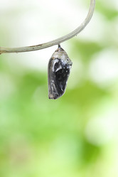 Similar image 6671320