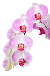 Similar image 6671374